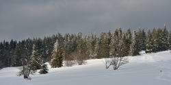 sous la neige, de doudou : 6 points (1 votes)