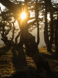 coucher
