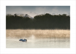Déjà la tête sous l'eau le matin !