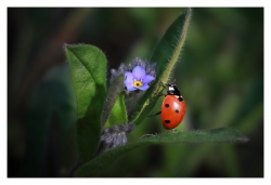 Le printemps est là !