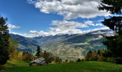 Alpage en Tarentaise.