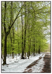 L'hiver rencontre le printemps...