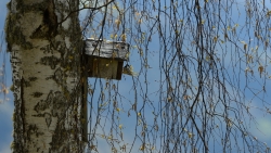 "Chalet-mésange" 1400m