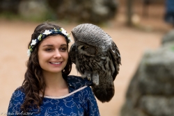 Puy du fou : les oiseaux