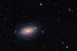 M63 Galaxie du Tournsol