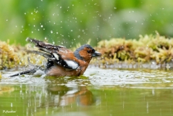 la piscine est ouverte !
