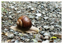 C'est encore loin la Bourgogne ? ? ?