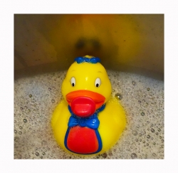 Temps de canards... (4X)
