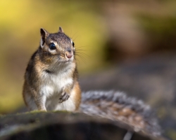 You are talking to me ....