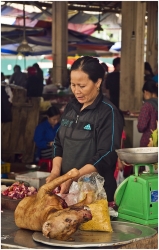 Marché de viande de chien (Vietnam) Ames sensible s'abstenir!