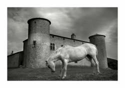 Le gardien du château