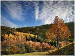 Vercors automnal