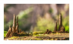 Pics miniatures
