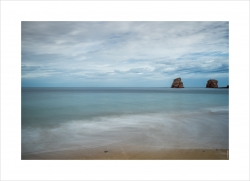 Les jumeaux