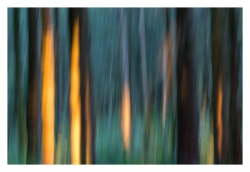 Sur le chemin du retour (série 4)