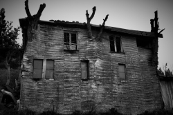 Les arbres prisonniers