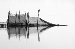 Filet de pêche II
