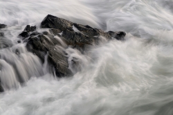 une valse aquatique