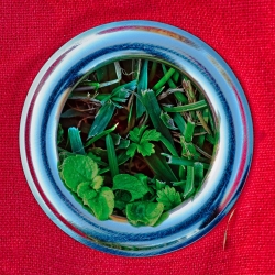 Petit cercle de nature