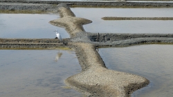 marais salants