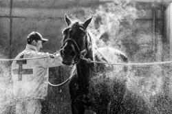 La bonne douche !