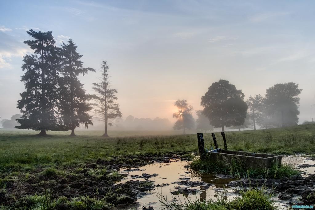 L'Orne dans la brume