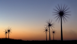 Coucher sur Bel Oued