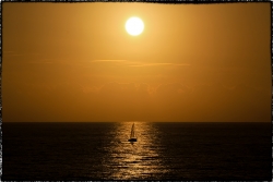 Solitaire...