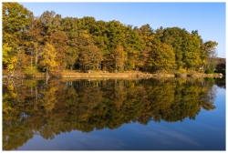 Reflet Automnales