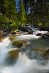 Nature Originelle