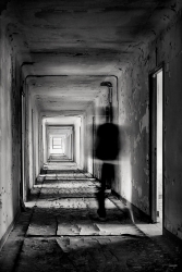 Le passeur d'âmes