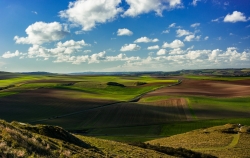 Cote d'Opale