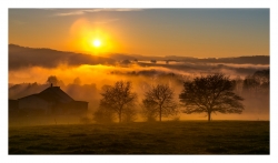 Paysage fribourgeois