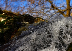 Emergence