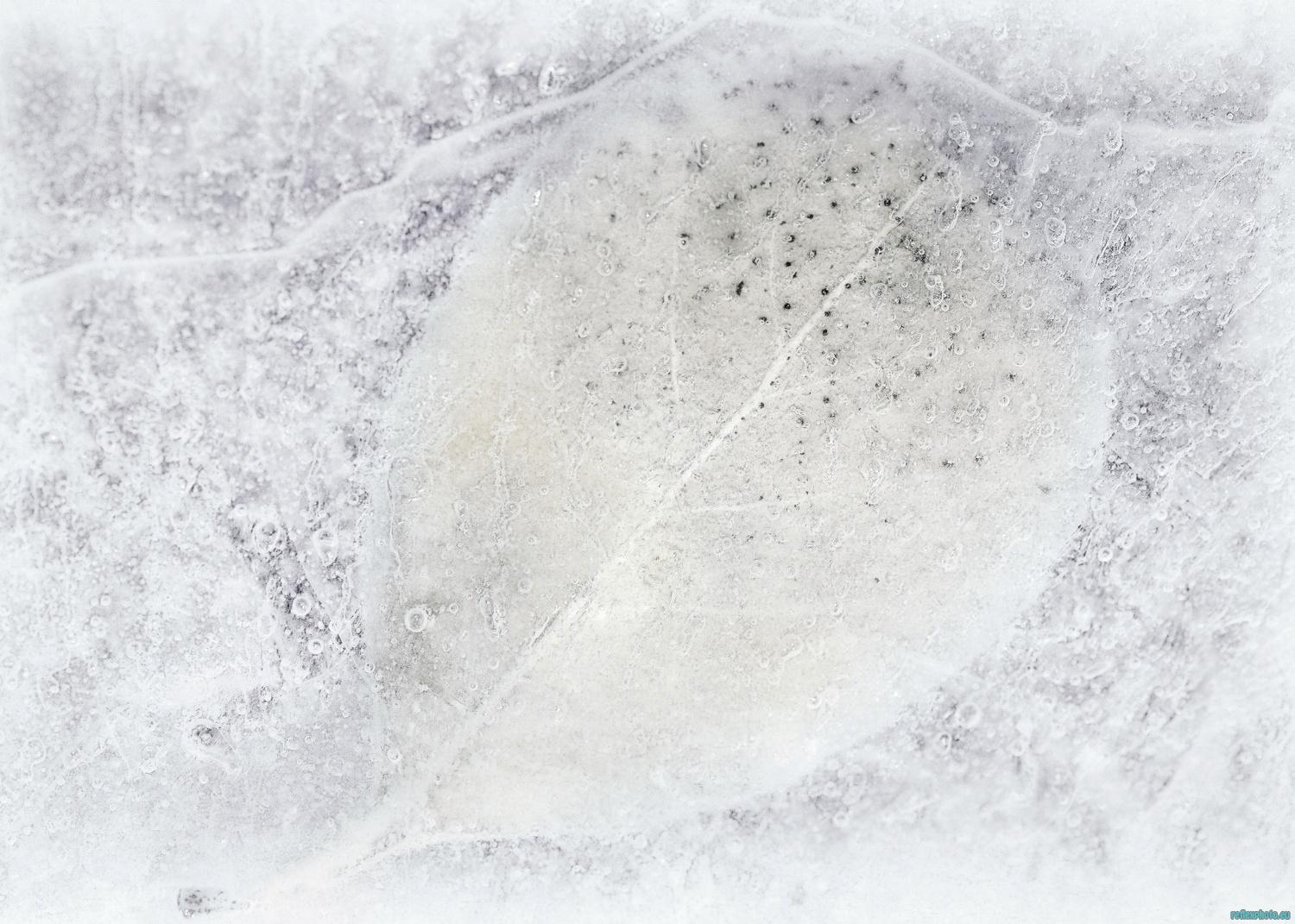 Ecrin blanc