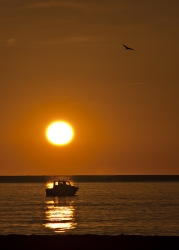 La pêche du petit matin