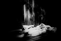 macabre découverte