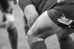 Un sport de brutes pratiqué par des gentlemen