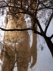 Le jardin d'Eden