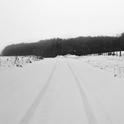 Neige