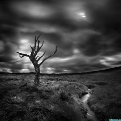 Rannoch