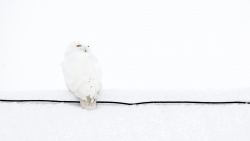 Pour casser le blanc....