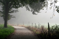 sur le chemin de la reine