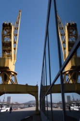 Grues (série)