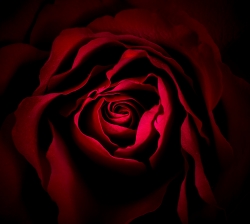 En rouge et noir (mini série)