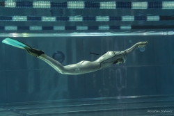 comme un dauphin