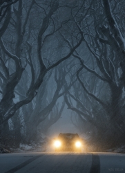 The Dark Hedges, The End*