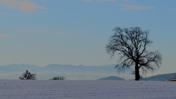 Ambiance hivernale, de jabiru : 56 points (13 votes)