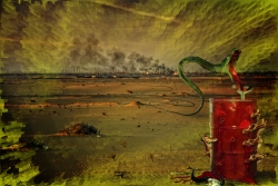 Petroleum