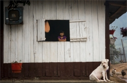 Camilia quelques pars en Colombie